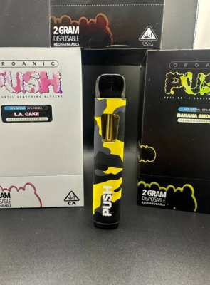 Push 2G disposable vape