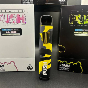 Push 2G disposable vape