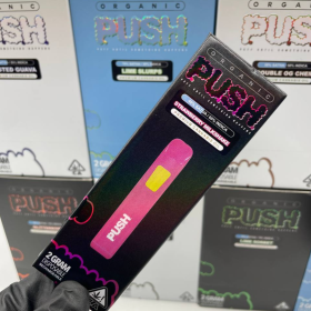 Push 2G disposable vape