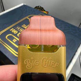 Big Chief DUO disposable