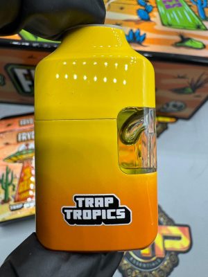 Fryd 3G Disposable with Gummies