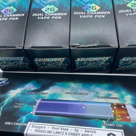 Sluggers 2G Disposable