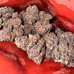 Sweetz Exotics Sushi Bar Edition