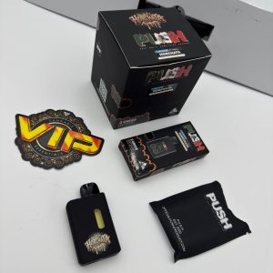 Push 2G Disposable with Screen